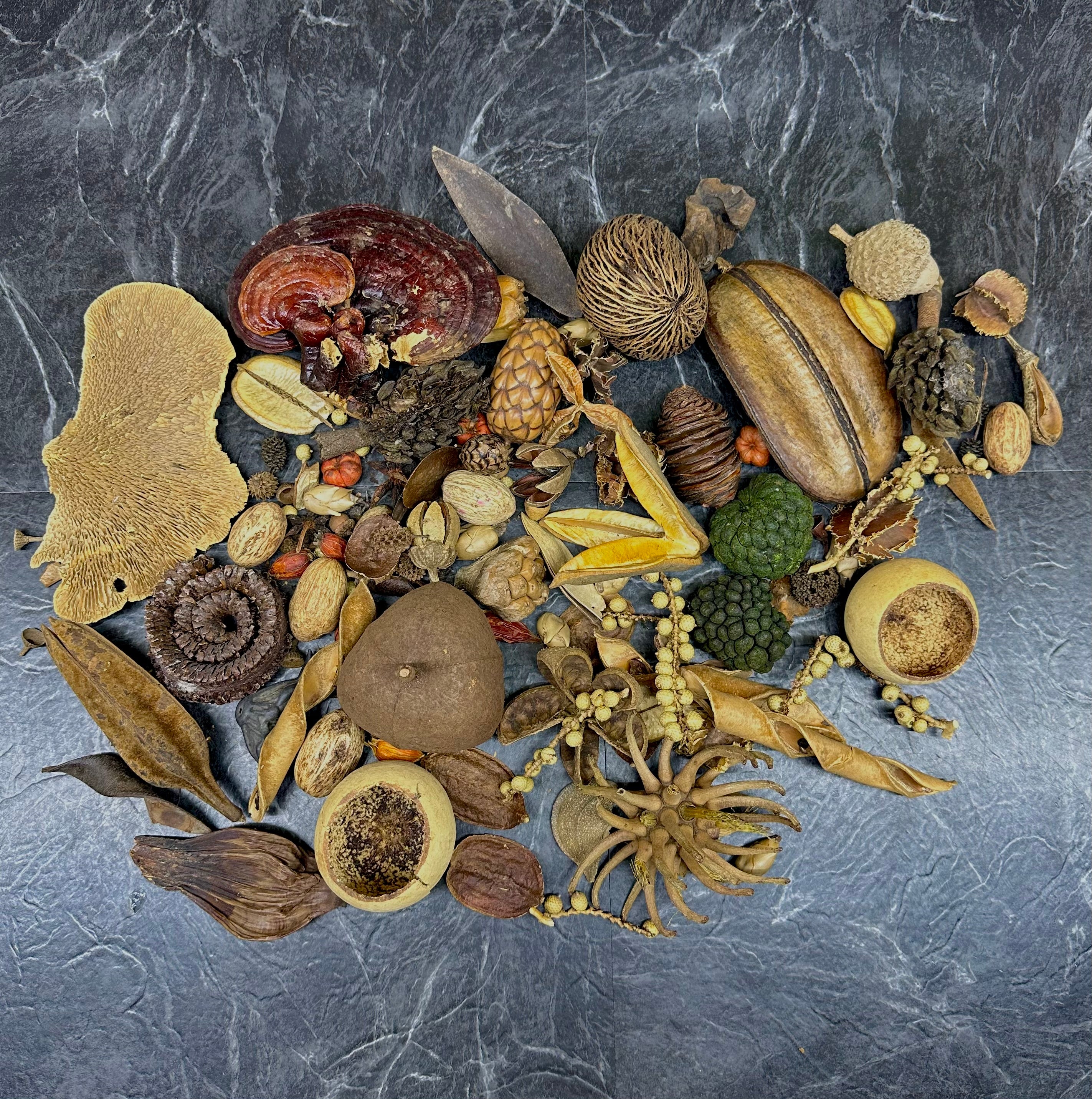*Botanical Bounty Bag* - Image 12