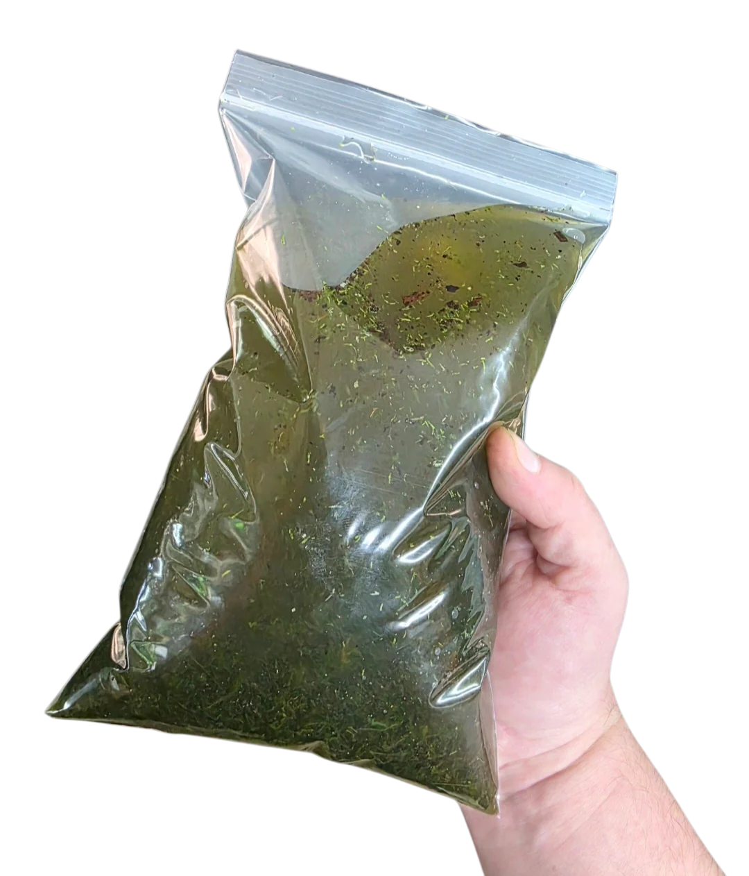 BryoBrick - Premium Compressed Moss Mix - Image 2
