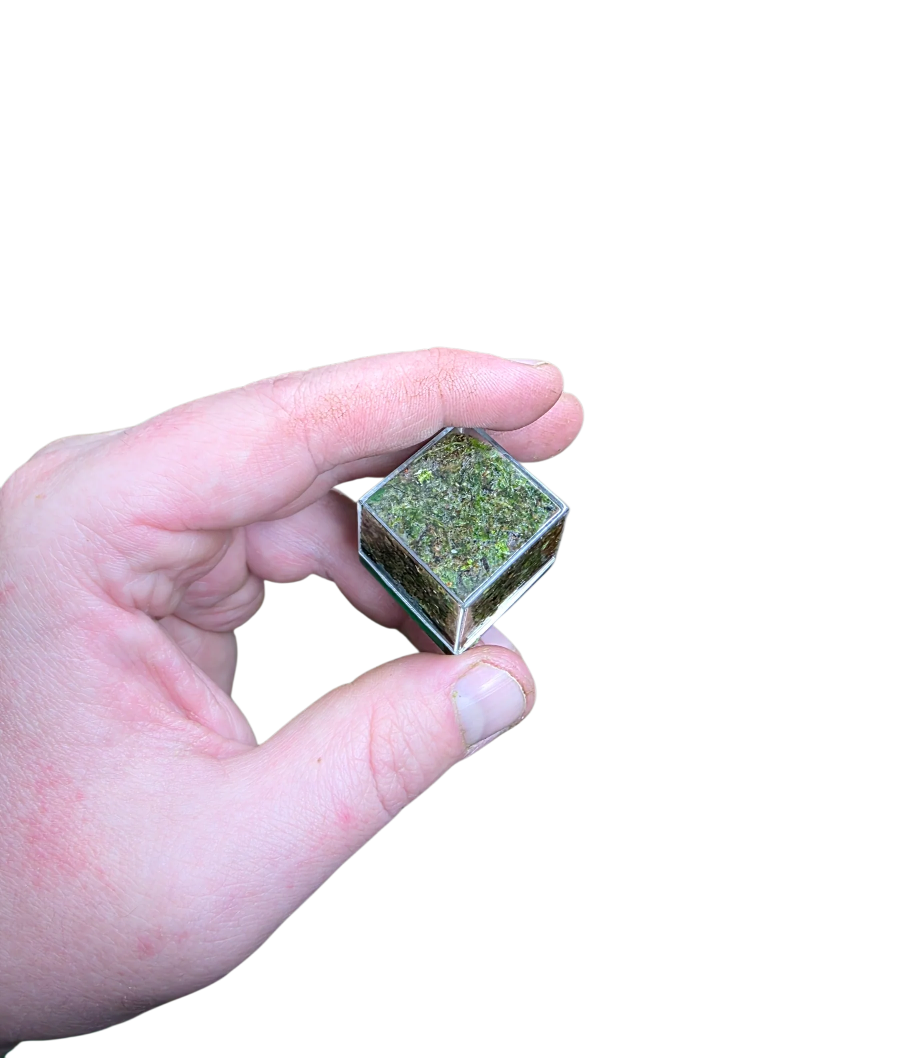 BryoBrick - Premium Compressed Moss Mix - Image 3