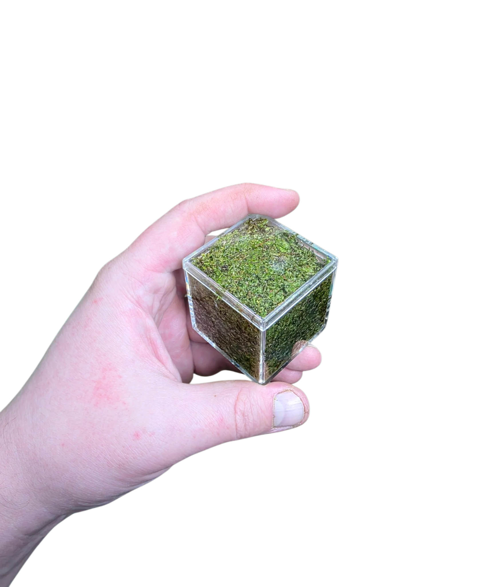 BryoBrick - Premium Compressed Moss Mix - Image 4