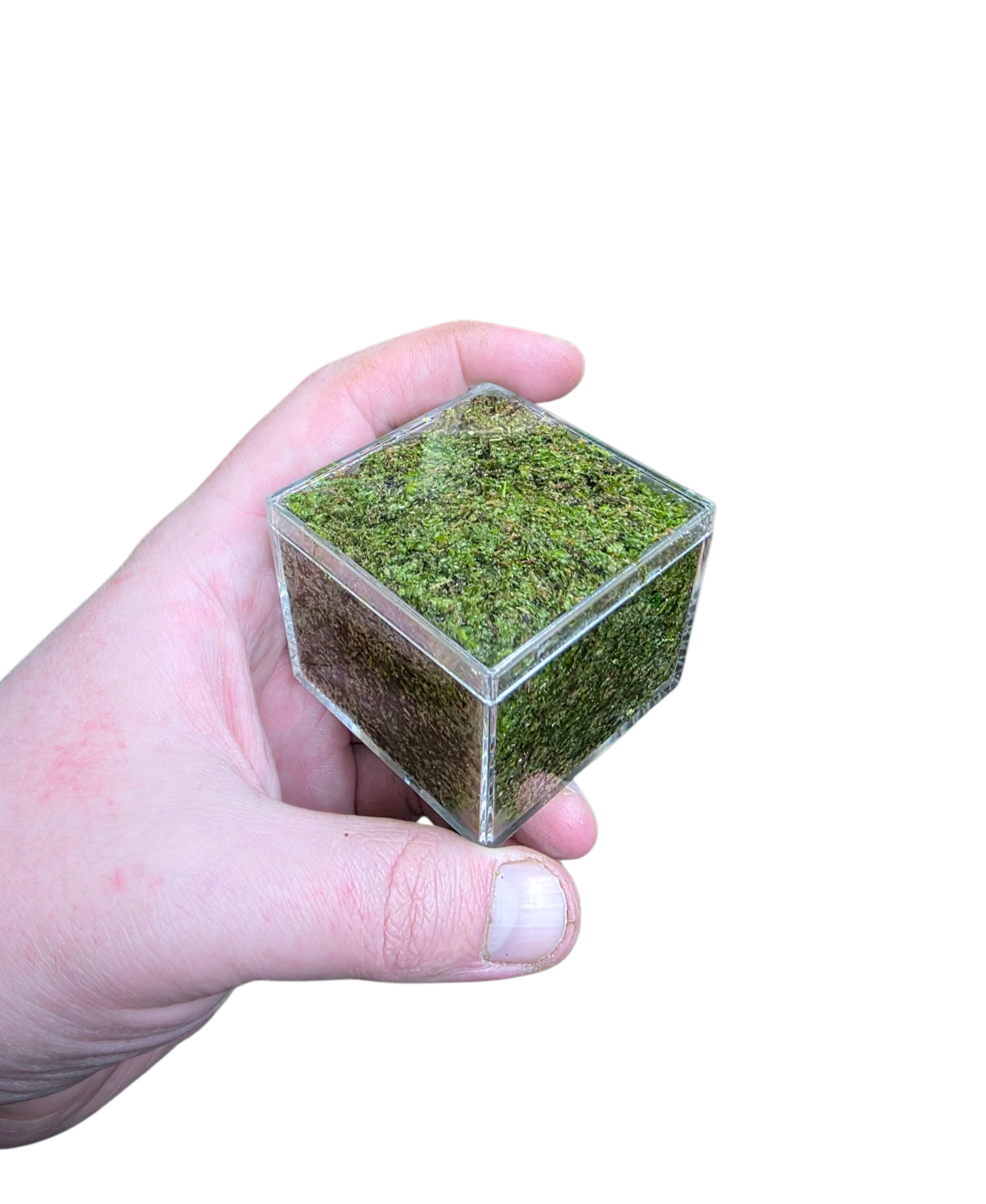 BryoBrick - Premium Compressed Moss Mix - Image 5
