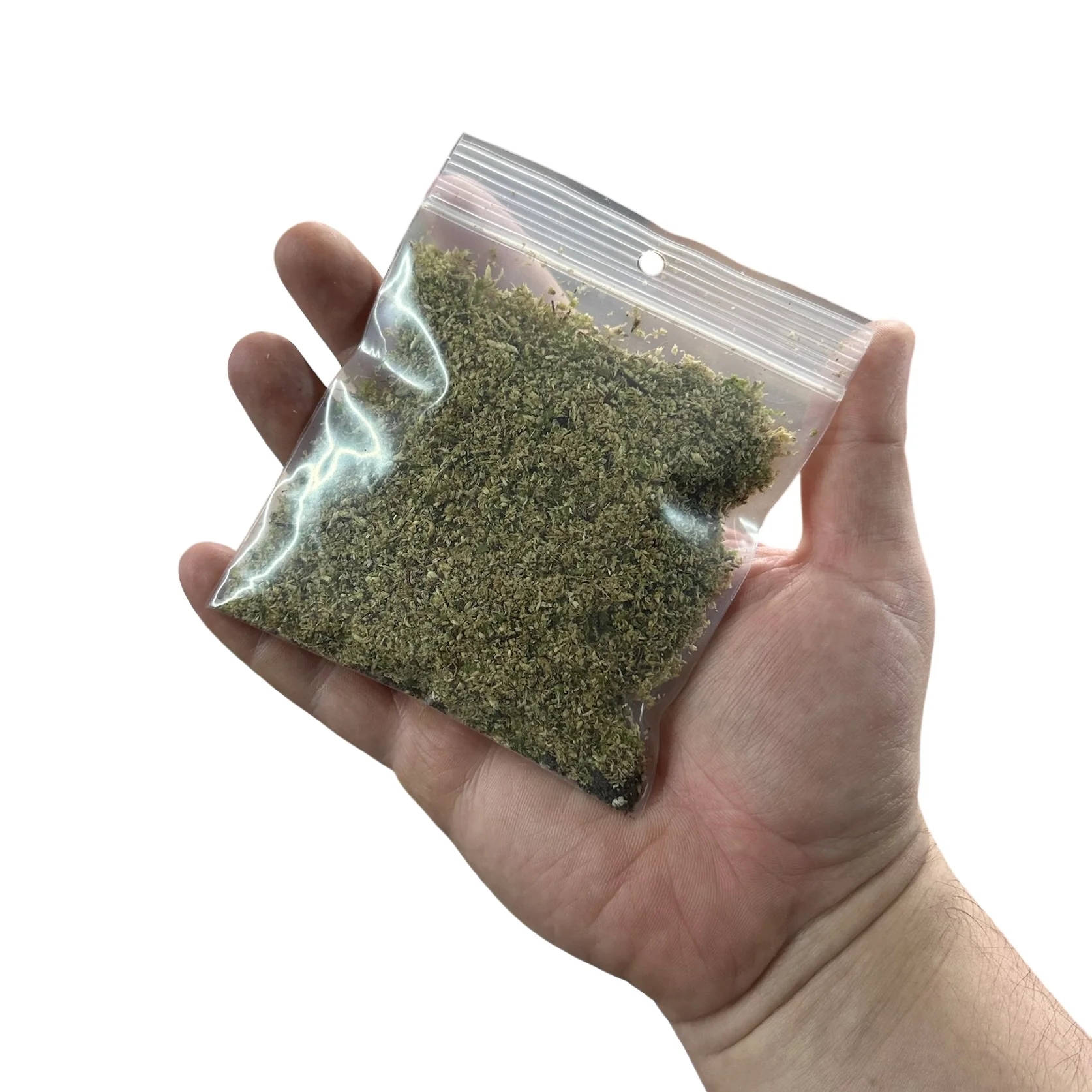 BryoSpore Premium Dry Moss Mix - Image 2
