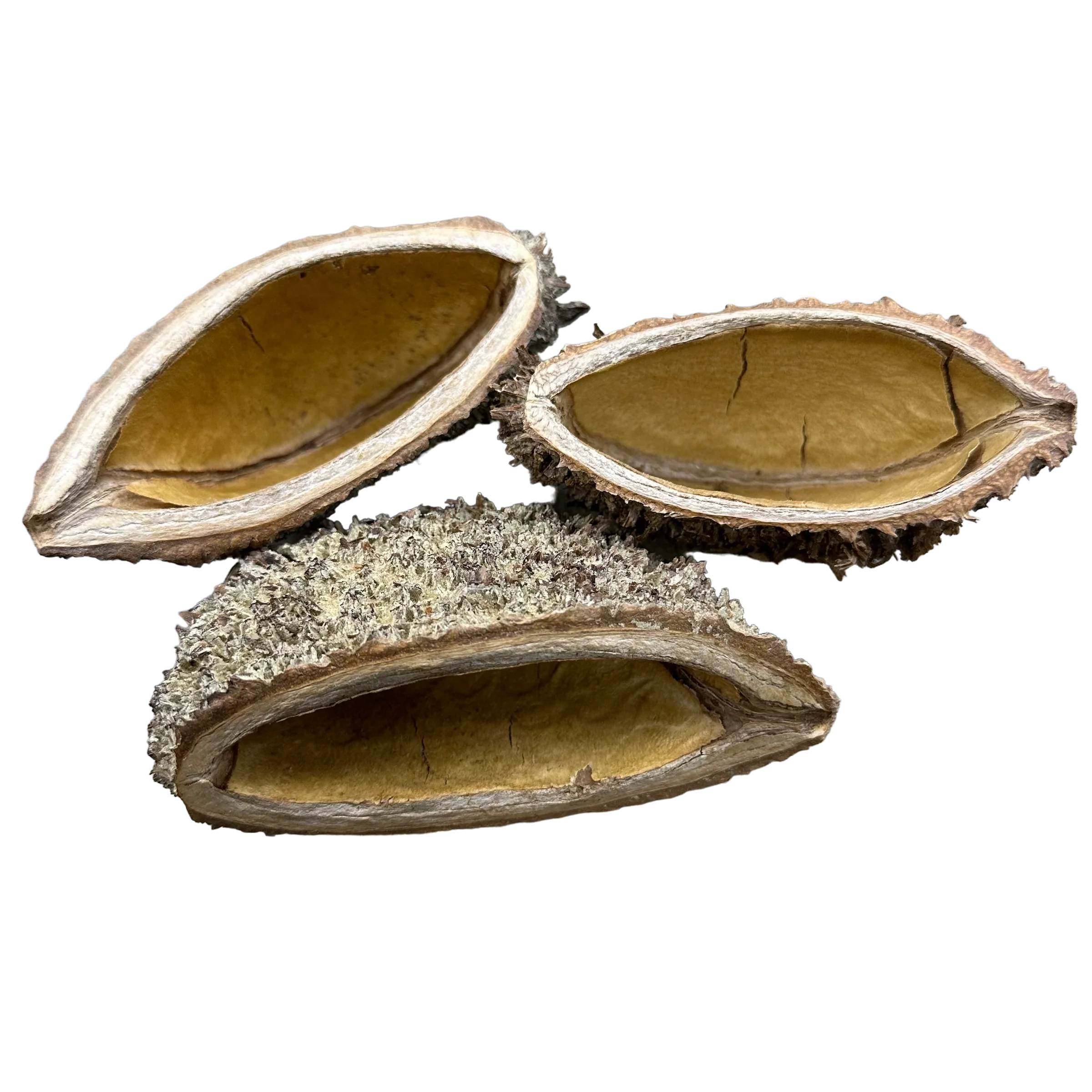 Bolsa Pod