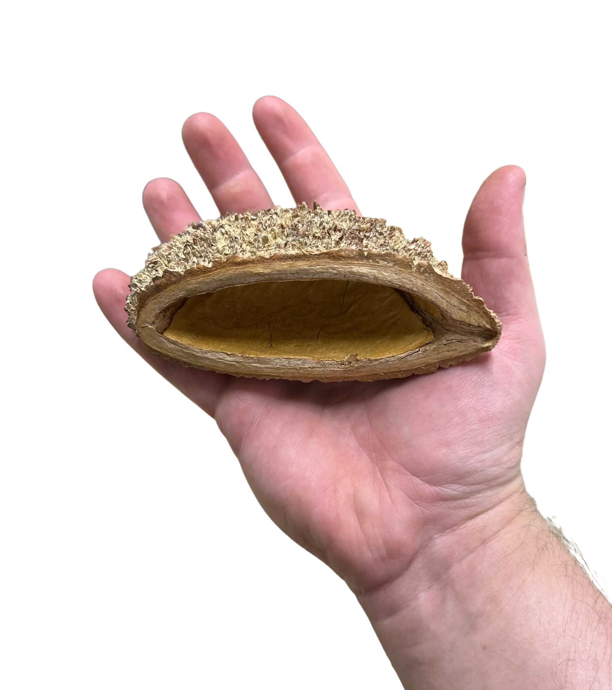 Bolsa Pod - Image 2