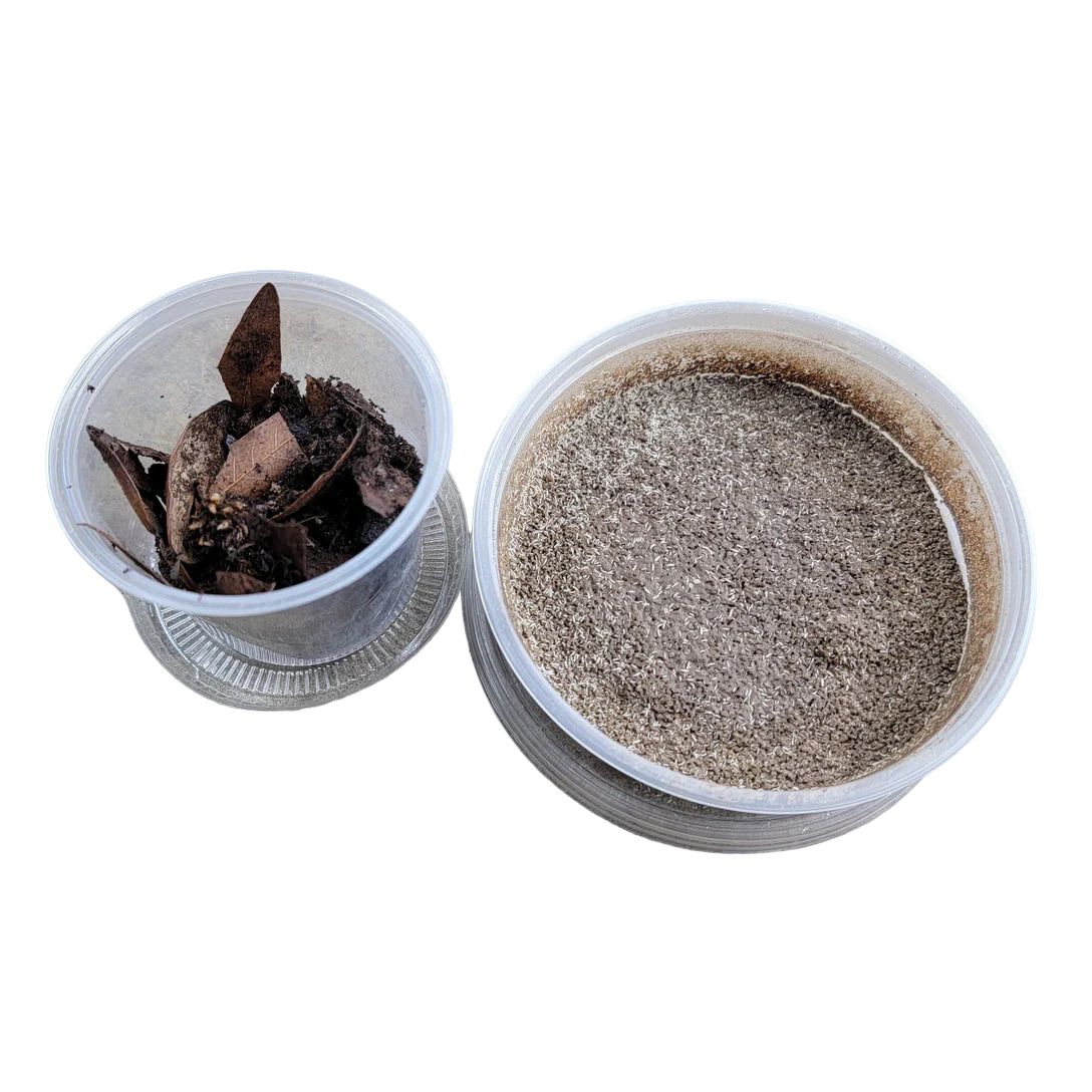 Clean up Crew Combo Pack