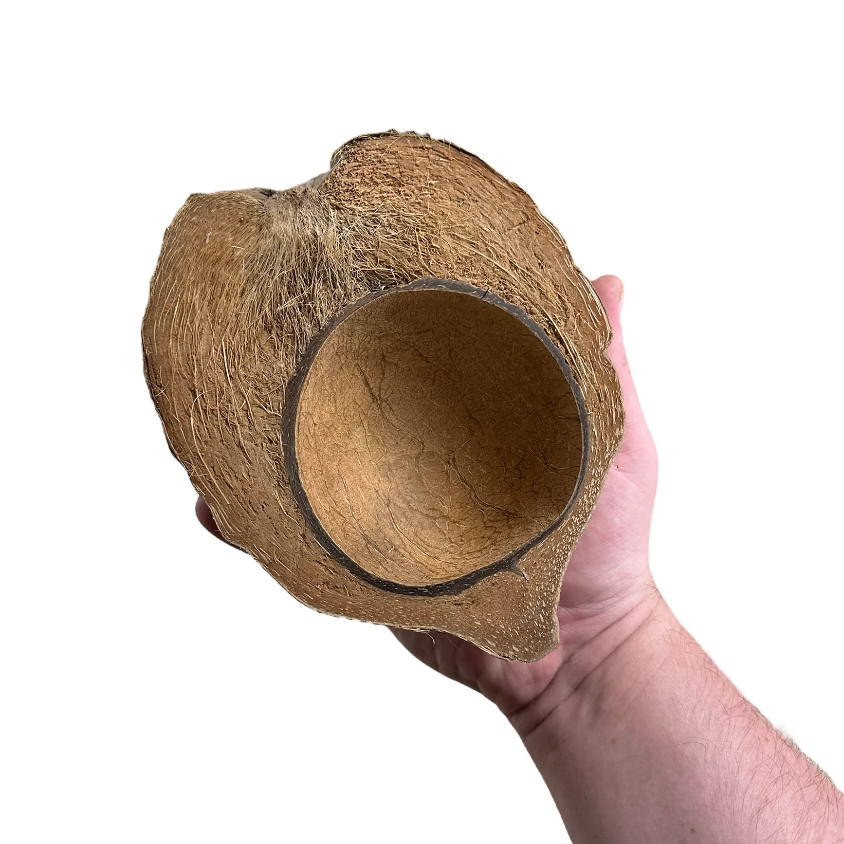 Coconut Boat - Image 2