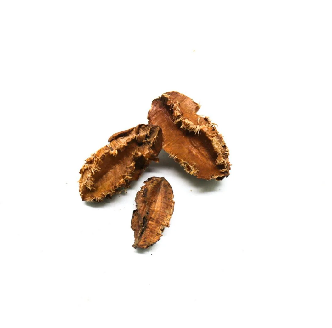 Fuzzy Bean Pod - Mini