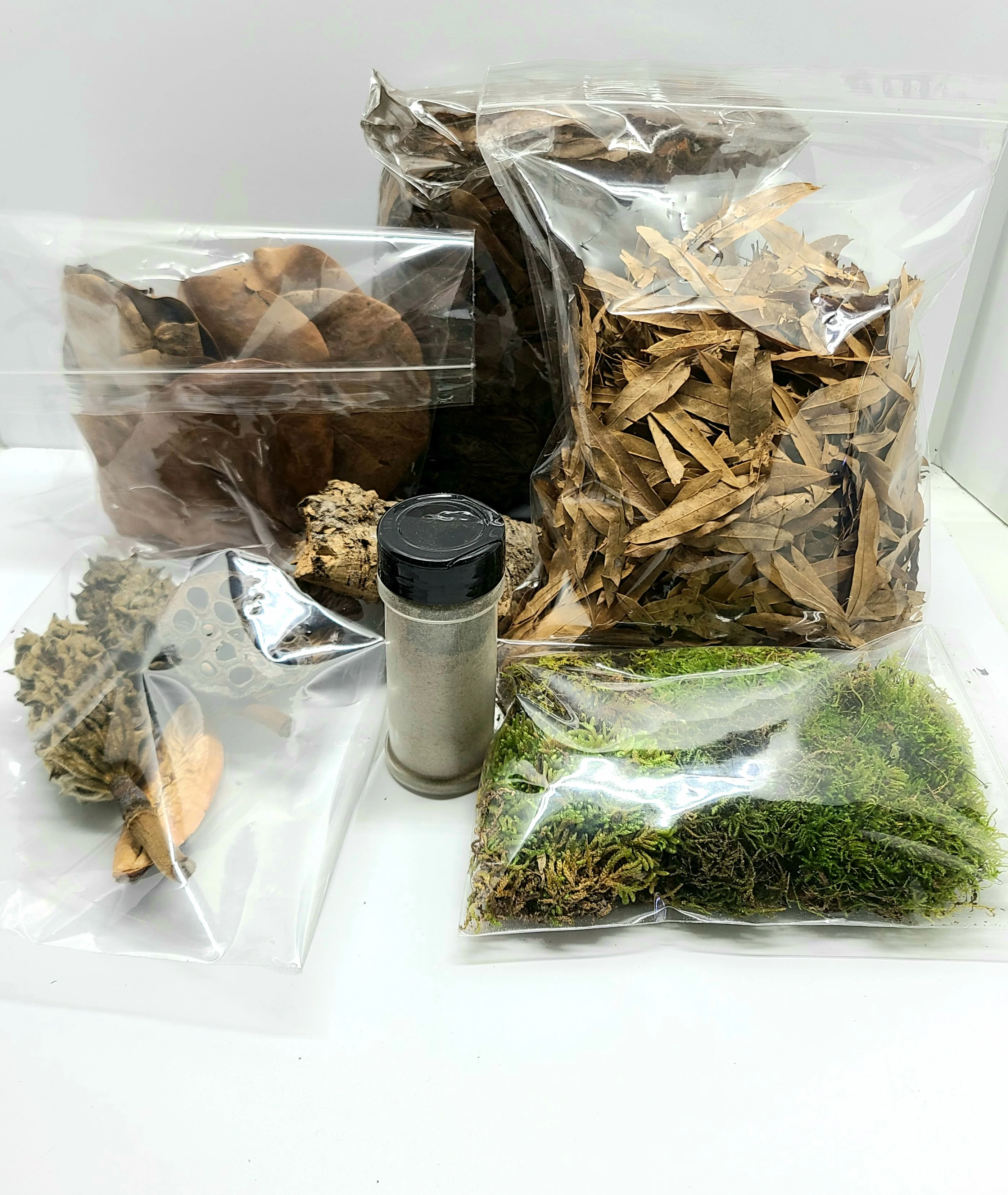 Isopod Starter Kit - Image 2