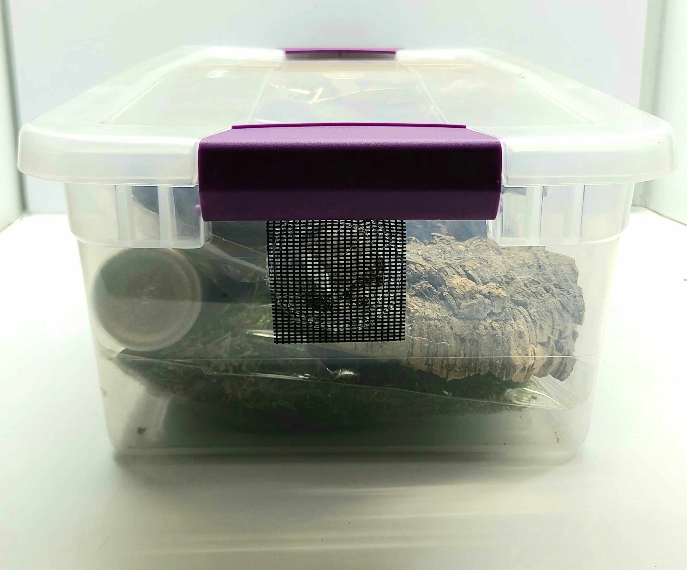 Isopod Starter Kit - Image 3