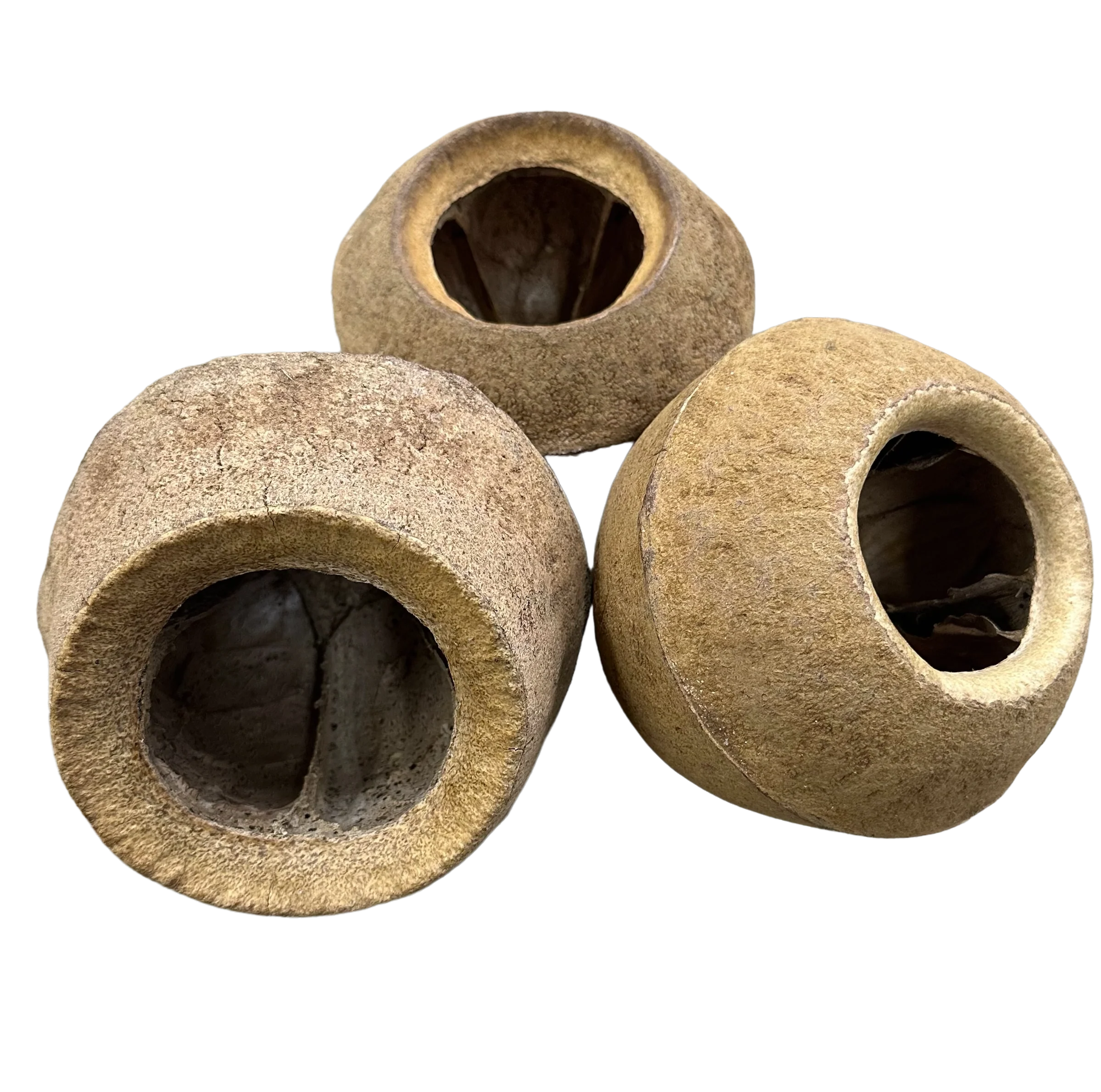 King Pod - Image 3