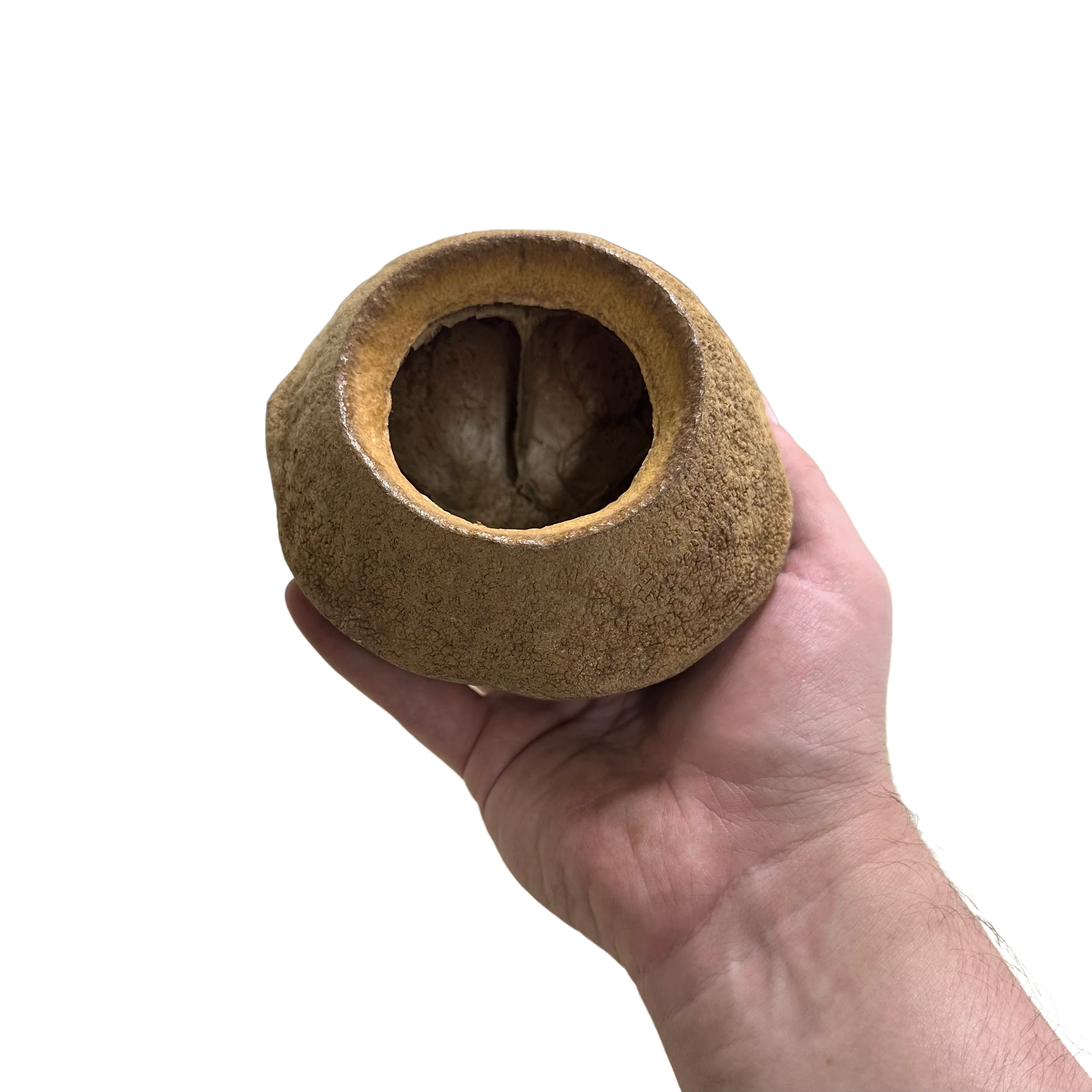 King Pod - Image 4