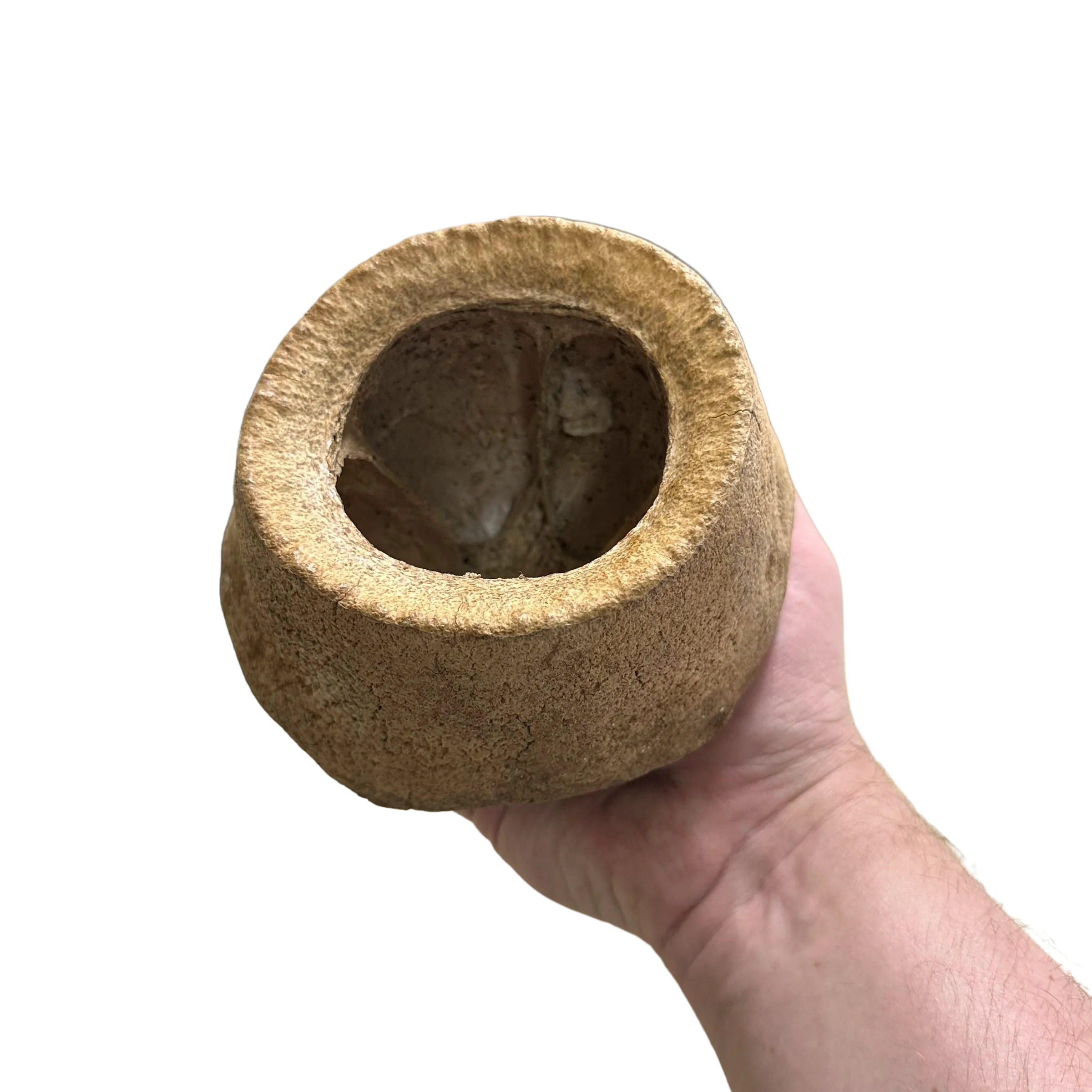 King Pod - Image 5