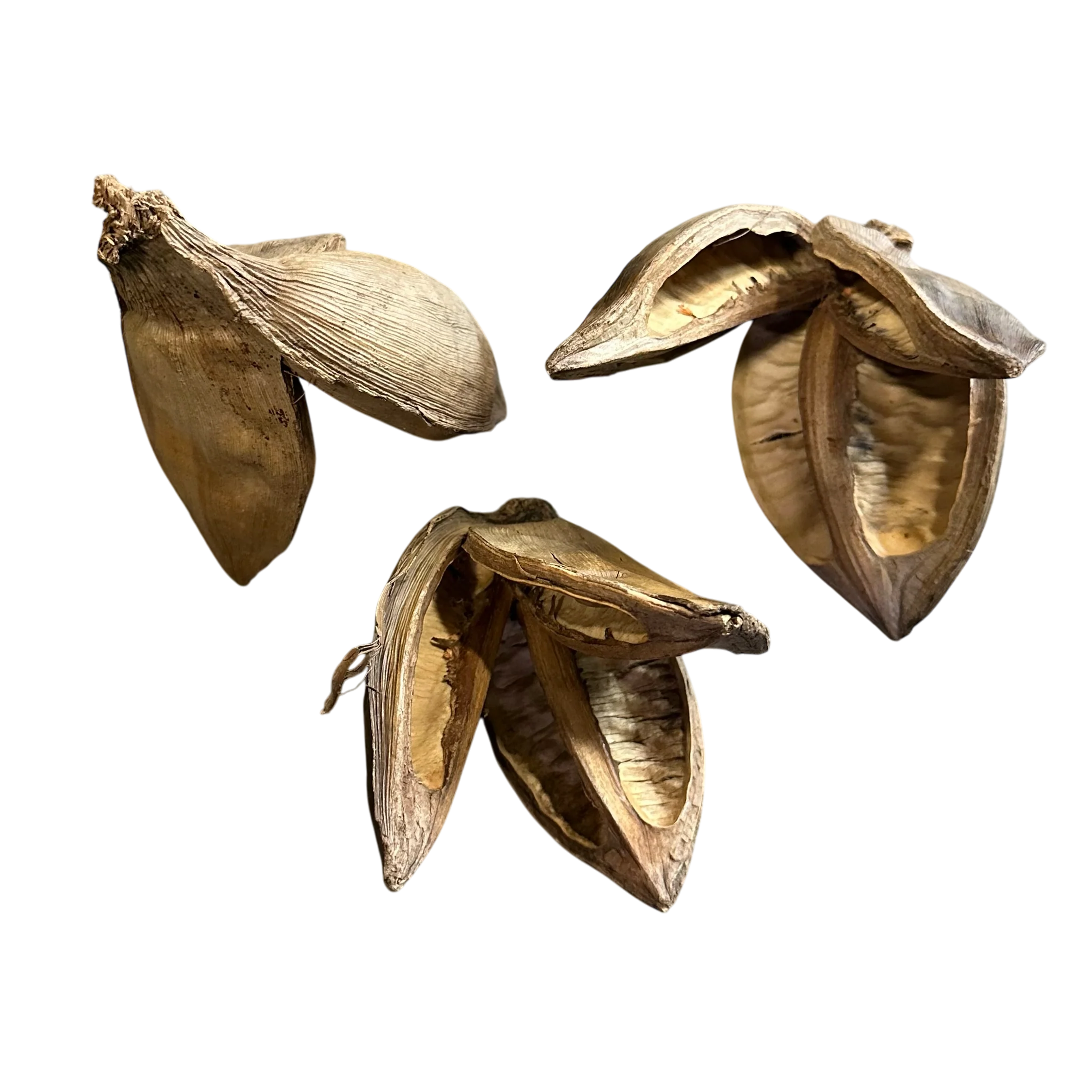 Large Star Pods