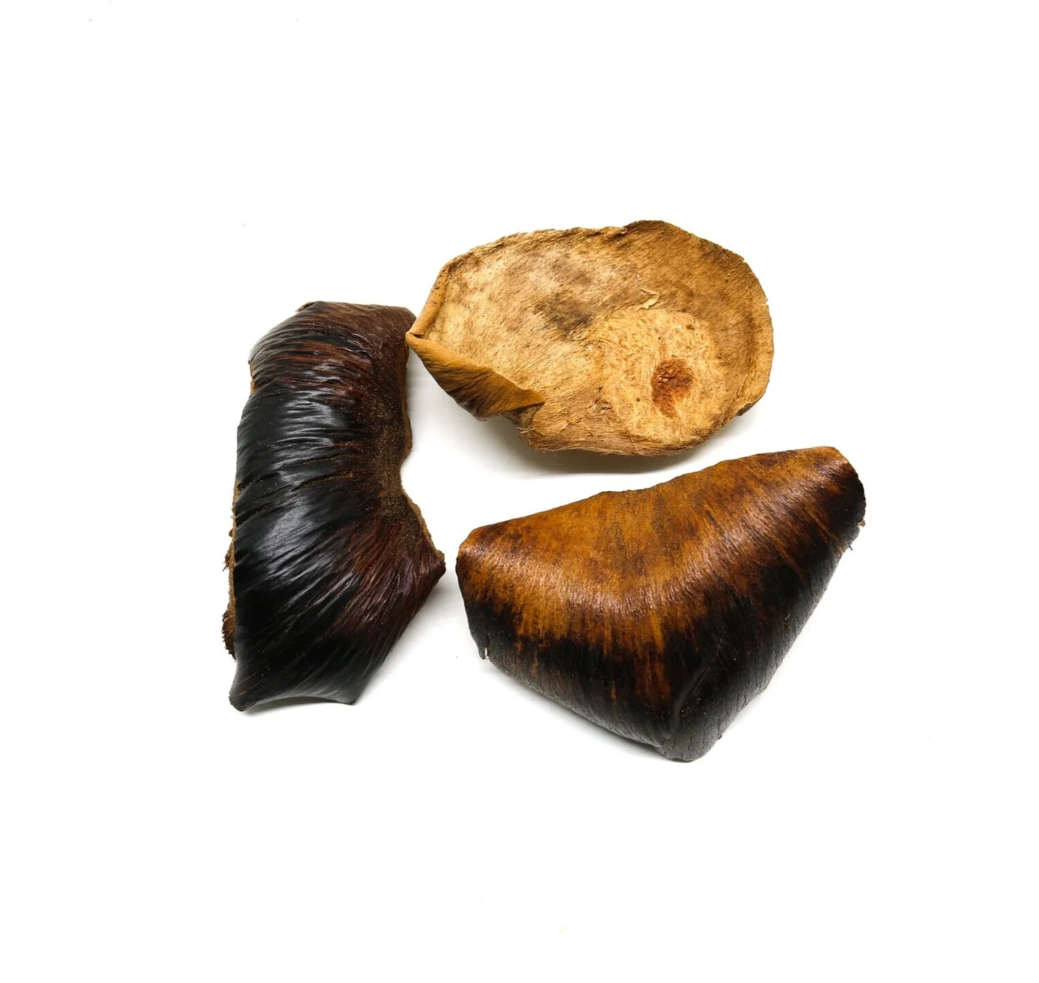 Leather Bark