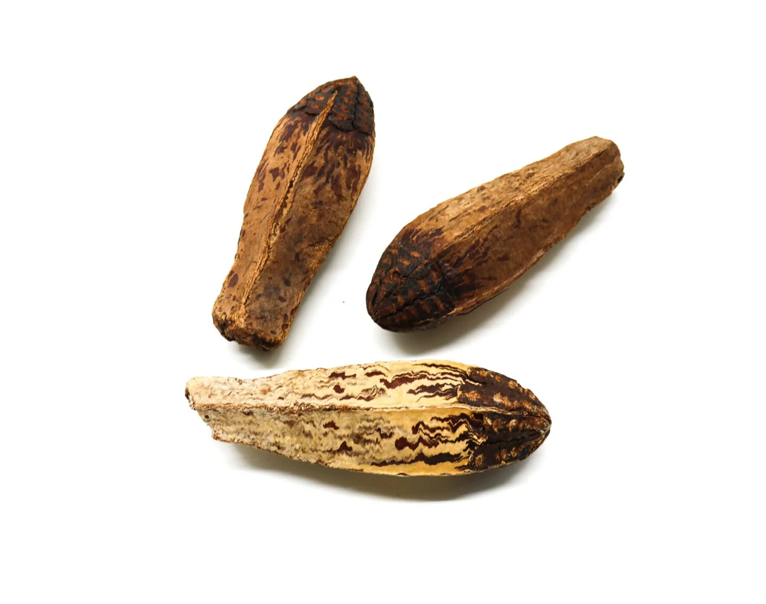 Mahogany Pod