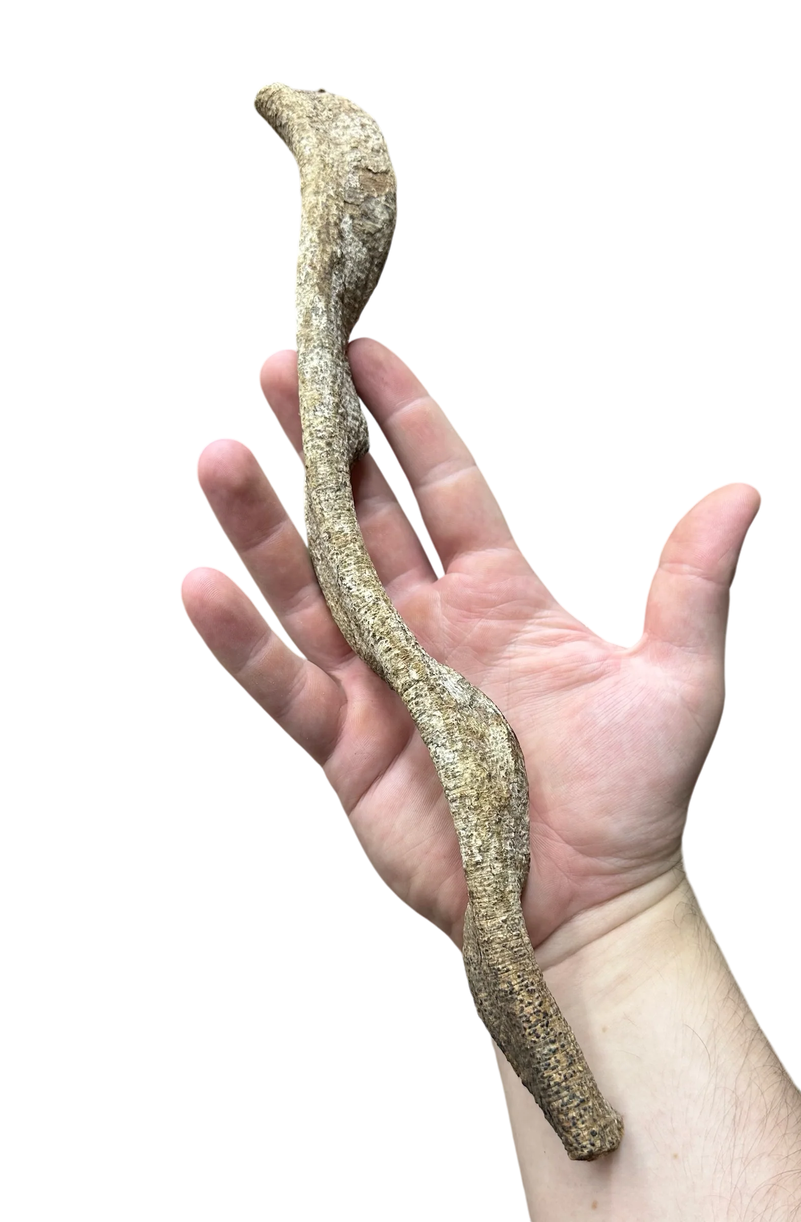 Monkey Ladder - Image 2