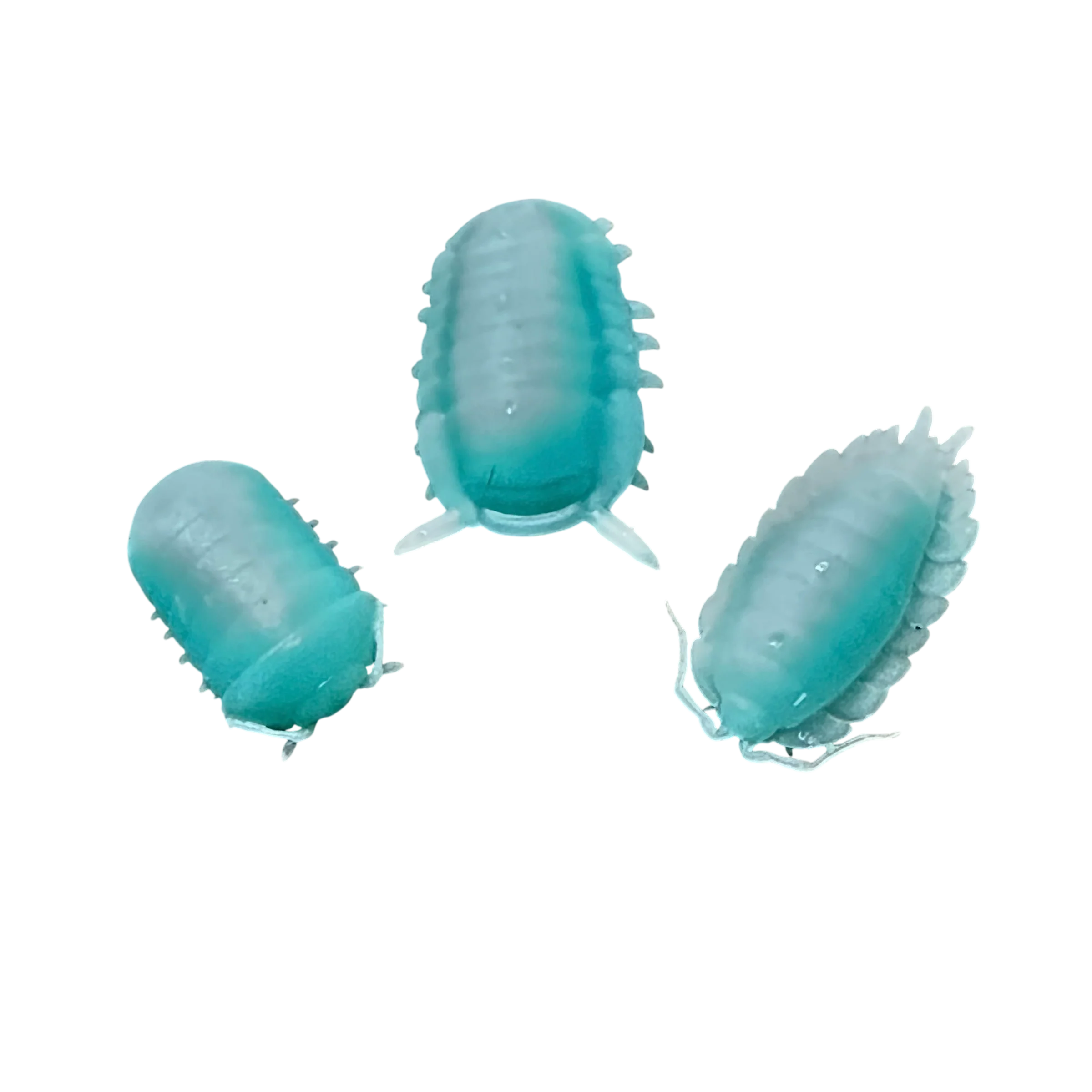 Nano Good Luck Isopod