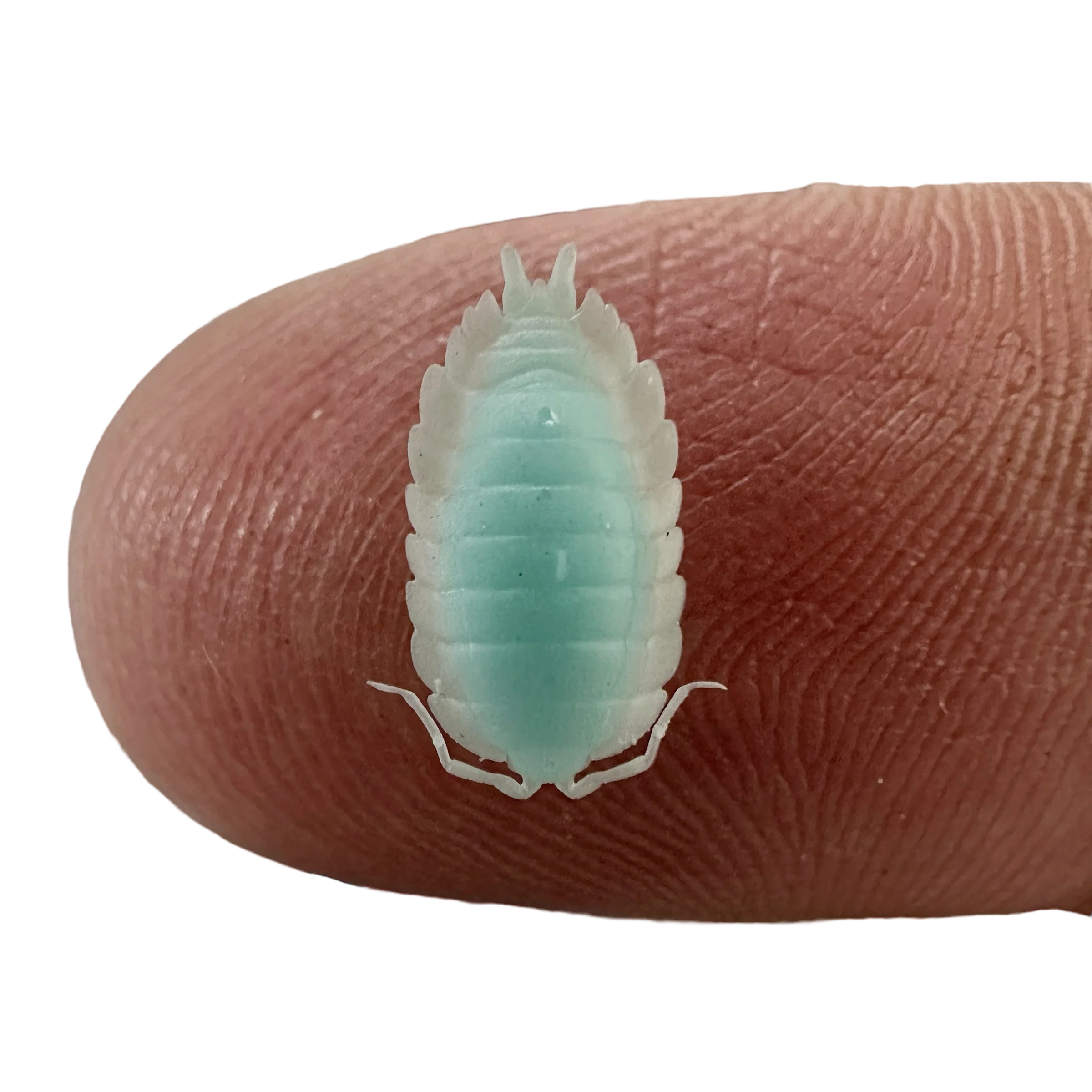 Nano Good Luck Isopod - Image 2