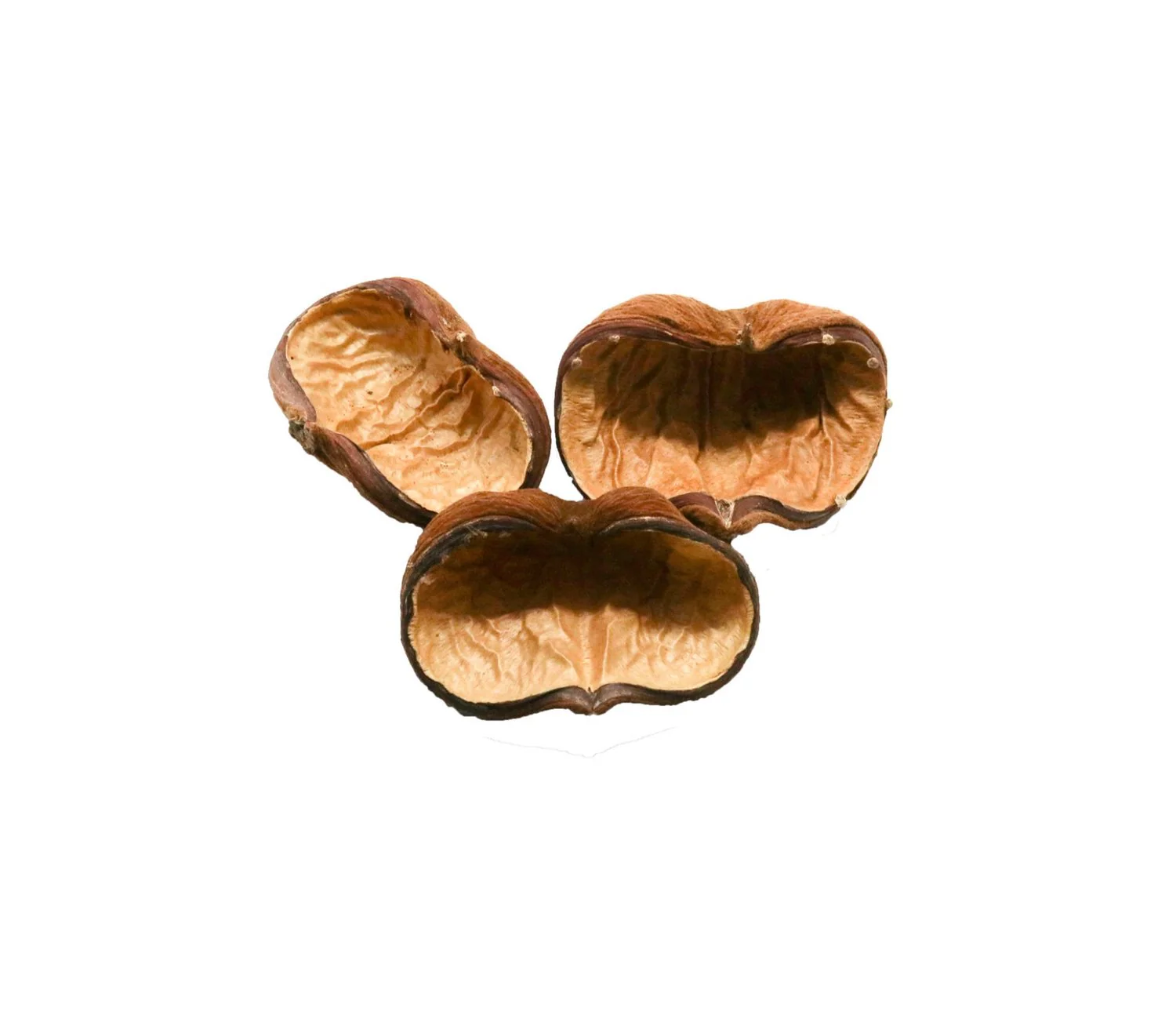 Nut Pod - Velvet