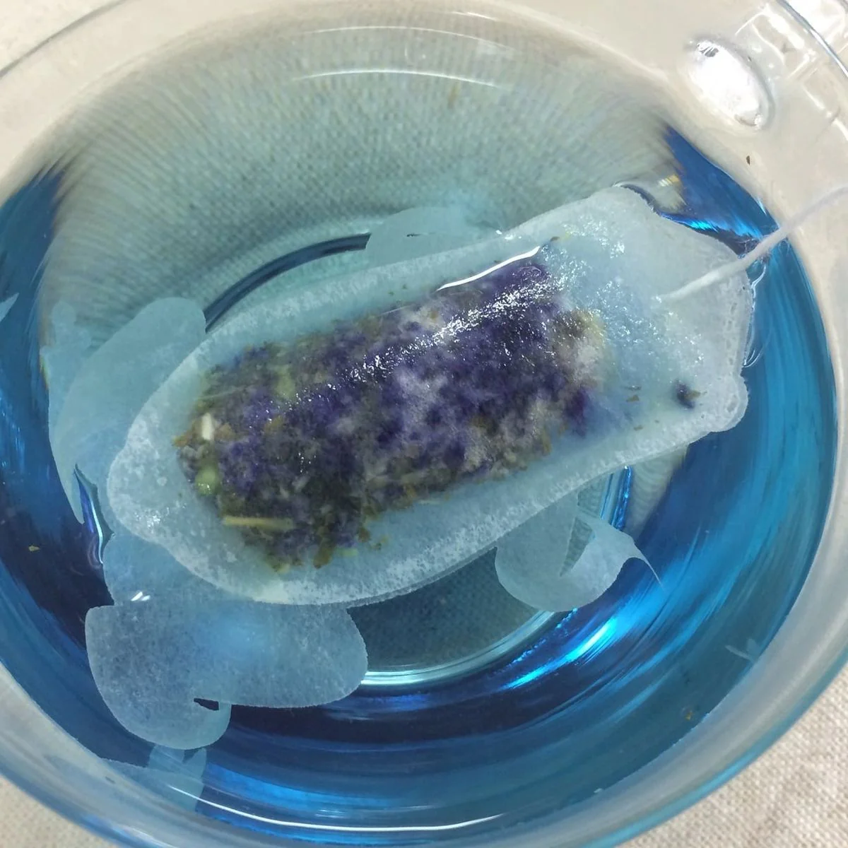 Ocean Teabag - Butterfly Pea Mint Tea - Blue Frog - Image 2
