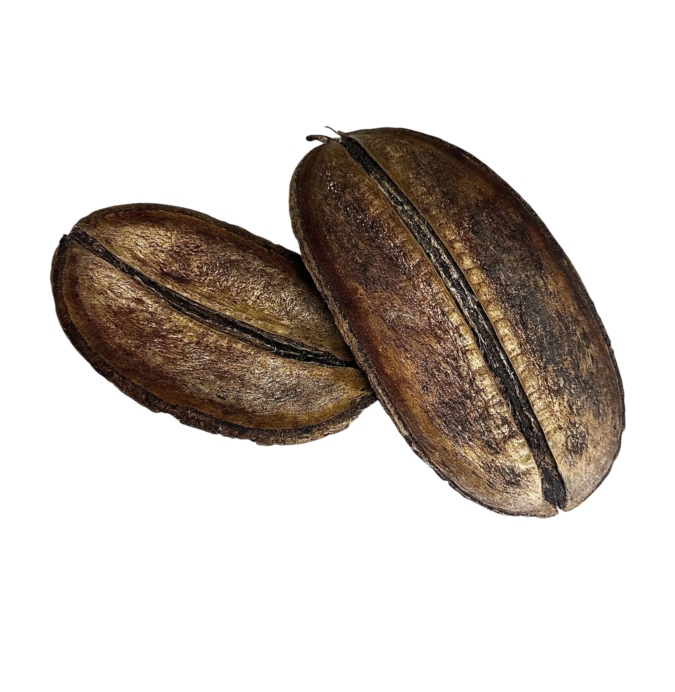 Coffee Pod