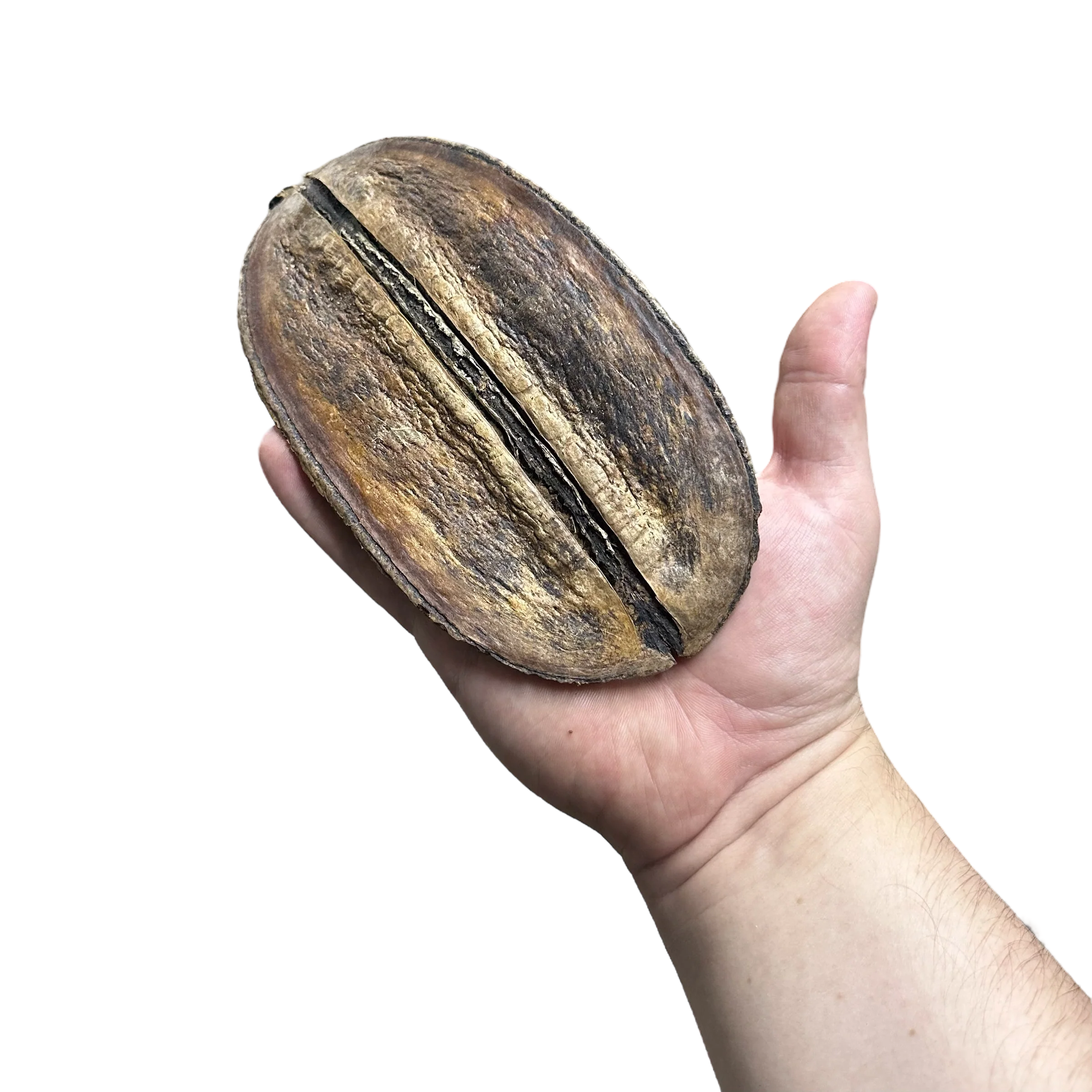 Coffee Pod - Image 3