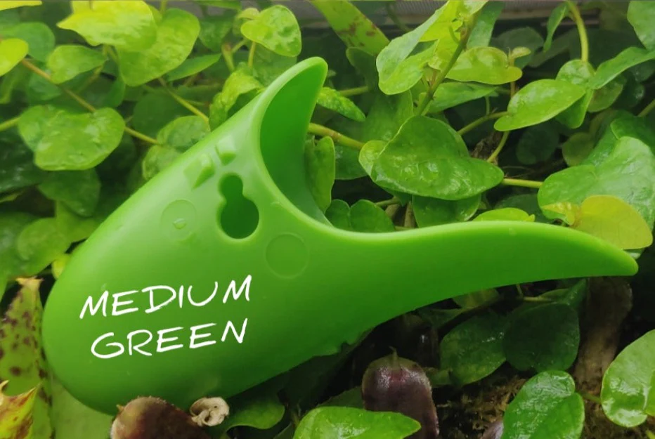 Tad Pool - Medium Green - Image 3