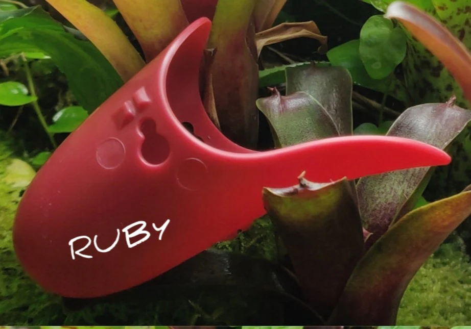 Tad Pool - Ruby - Image 3