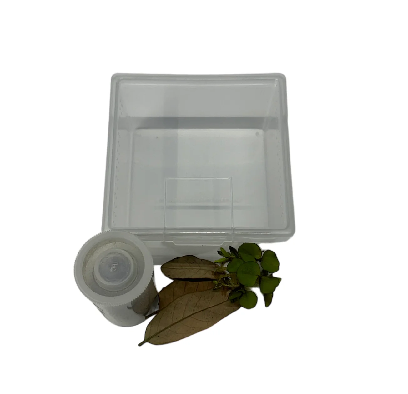 TadDaddy Basic Tadpole Kit
