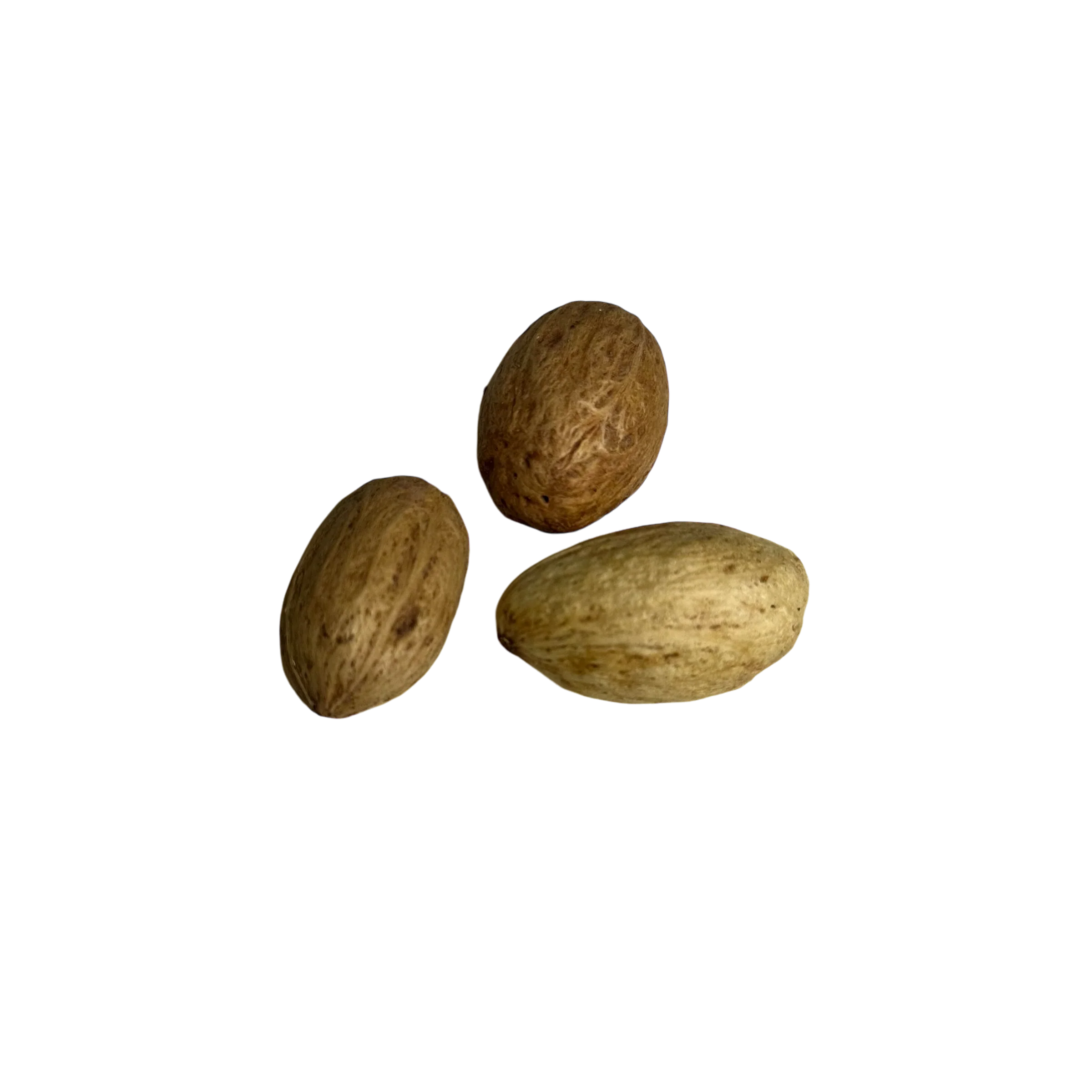 Ulta Pods