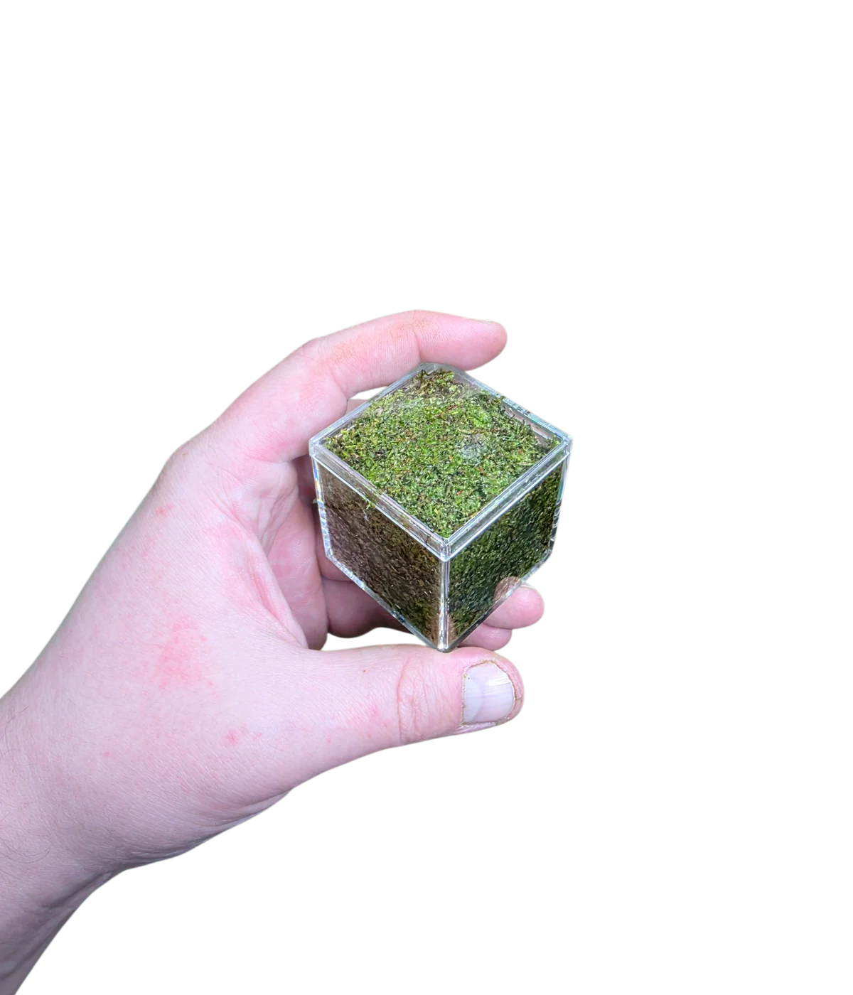WHOLESALE - BryoBrick Premium Compressed Moss Mix - Image 4
