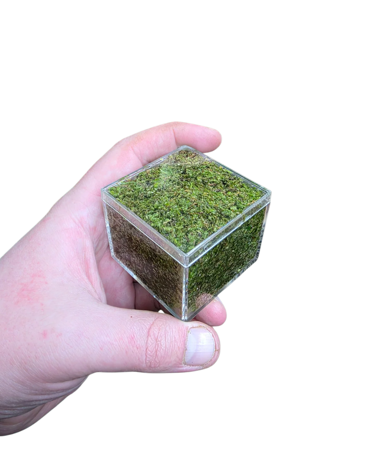 WHOLESALE - BryoBrick Premium Compressed Moss Mix - Image 5