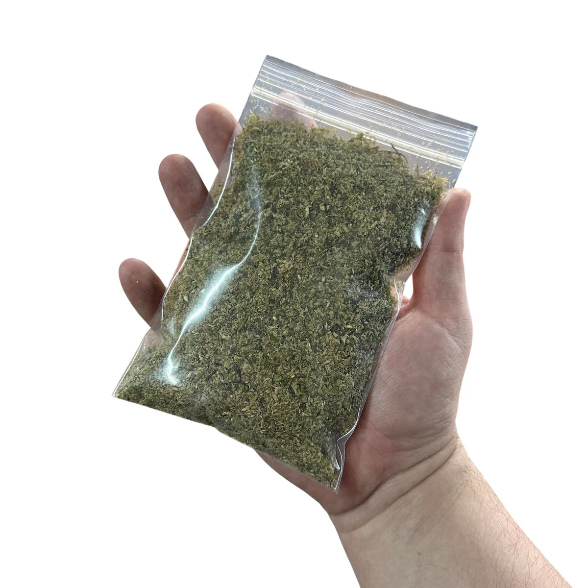 WHOLESALE - BryoSpore Premium Dry Moss Mix - Shelf Stable Moss Inoculant - Image 3