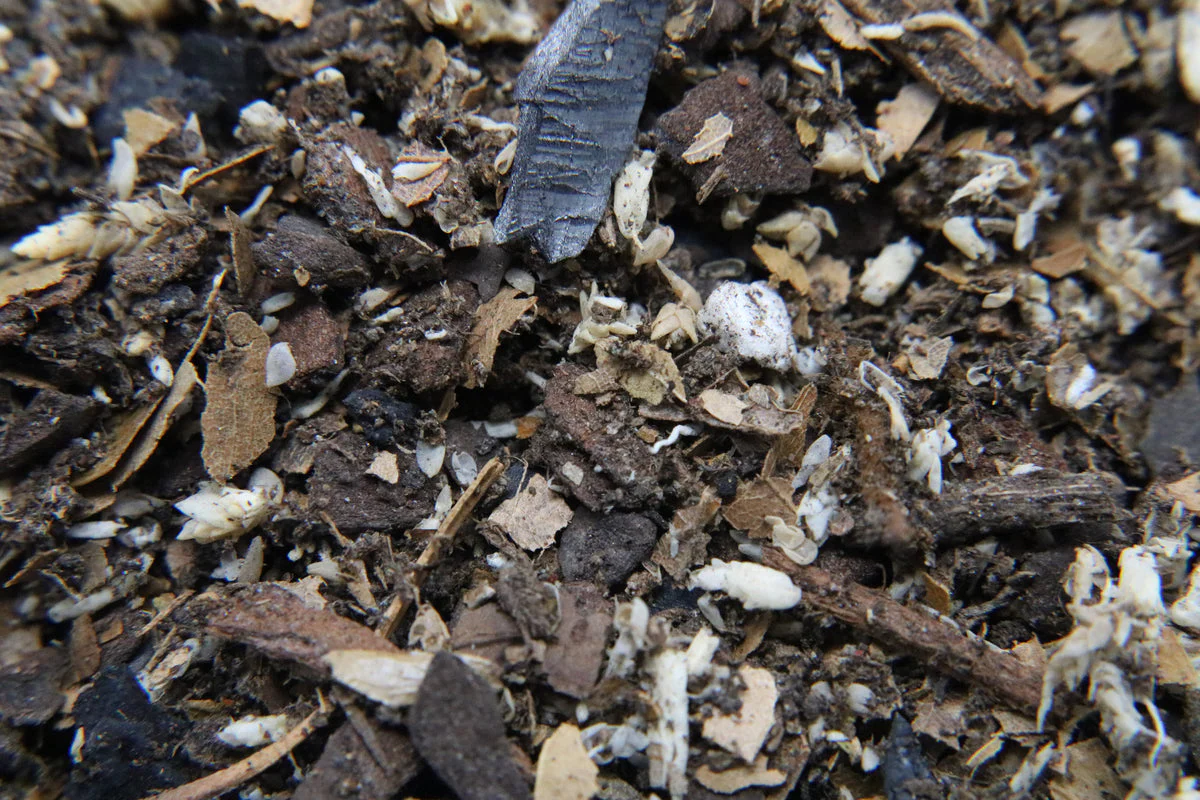WHOLESALE - FaunaBoost Isopod Substrate - Image 3